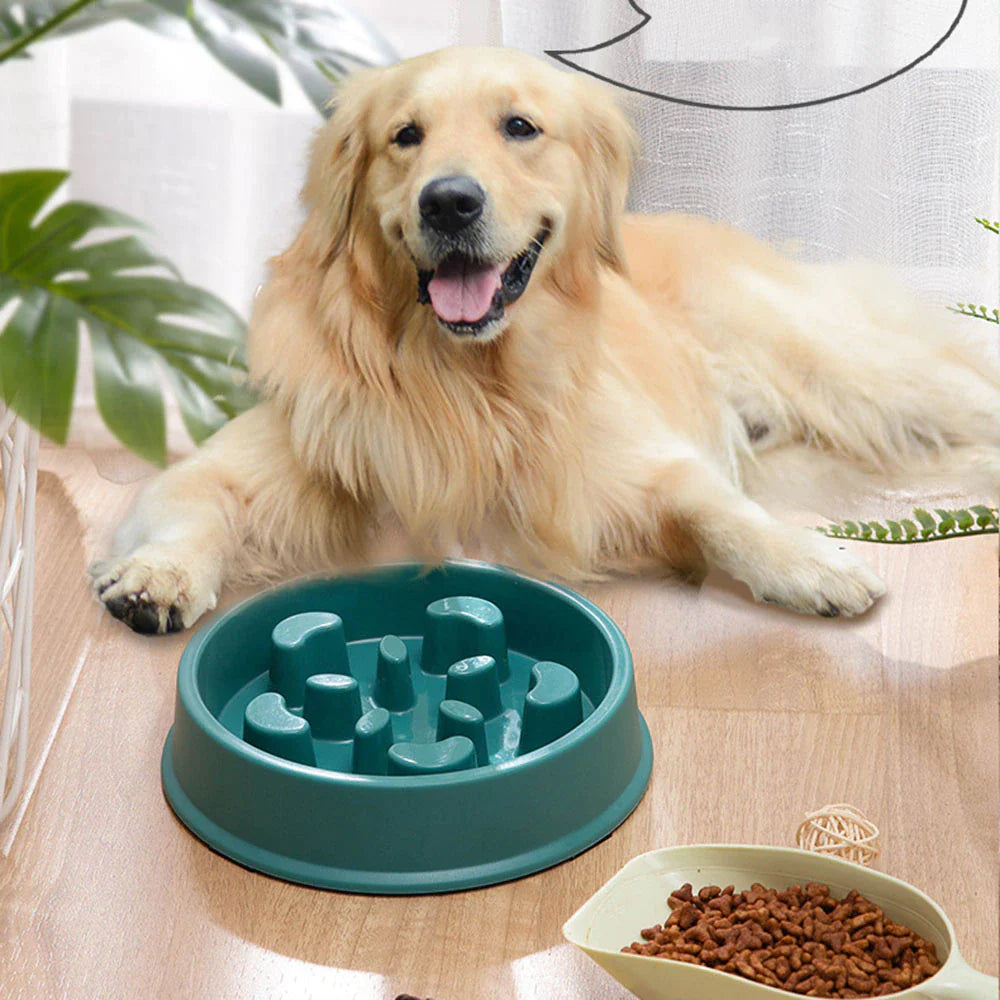 Non-Slip Feeder Bowl - Choke-Proof Pet Bowl for all animals