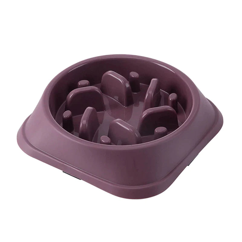 Non-Slip Feeder Bowl - Choke-Proof Pet Bowl for all animals