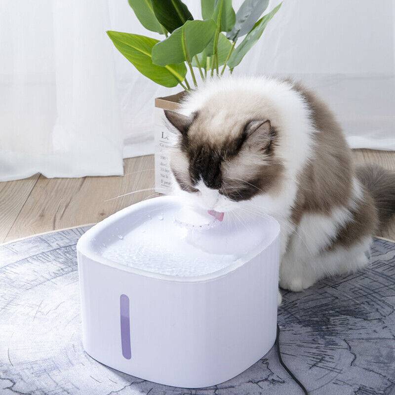 Fully Automatic Electric Pet Water Dispenser